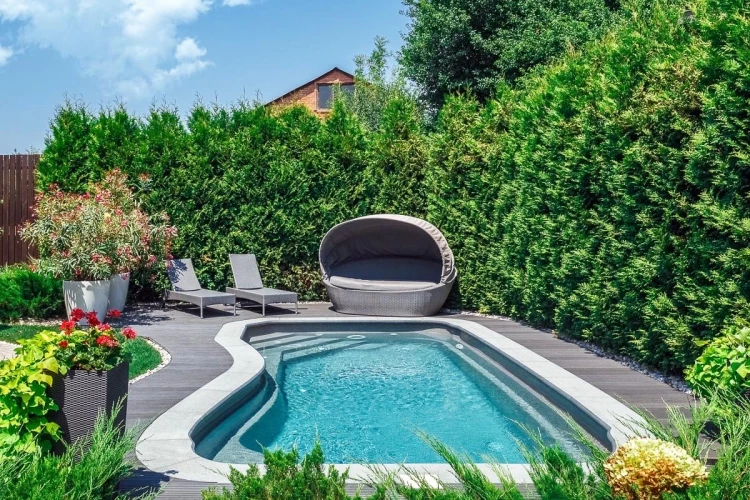 Модель Riverina