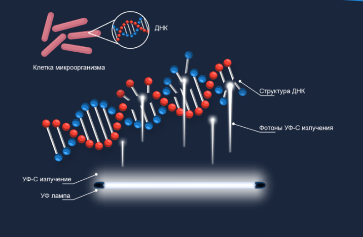 Как работает ультрафиолетовая установка для бассейна Emaux Nano Tech UV75 Timer